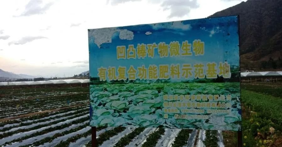 化妆品中竟含这种"土"!还被兰大教授带到世博会