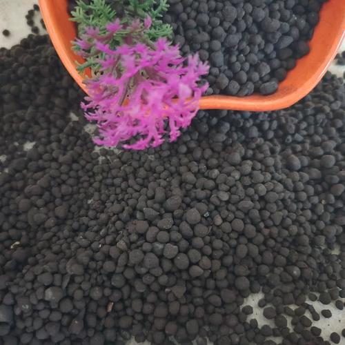 生物有机肥微生物肥料疏松土壤破除板结厂家菌肥颗粒微生物批发